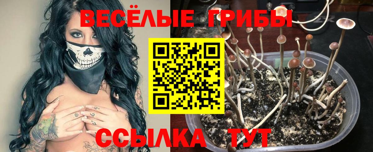 Галлюциногенные грибы GOLDEN TEACHER Приморско-Ахтарск